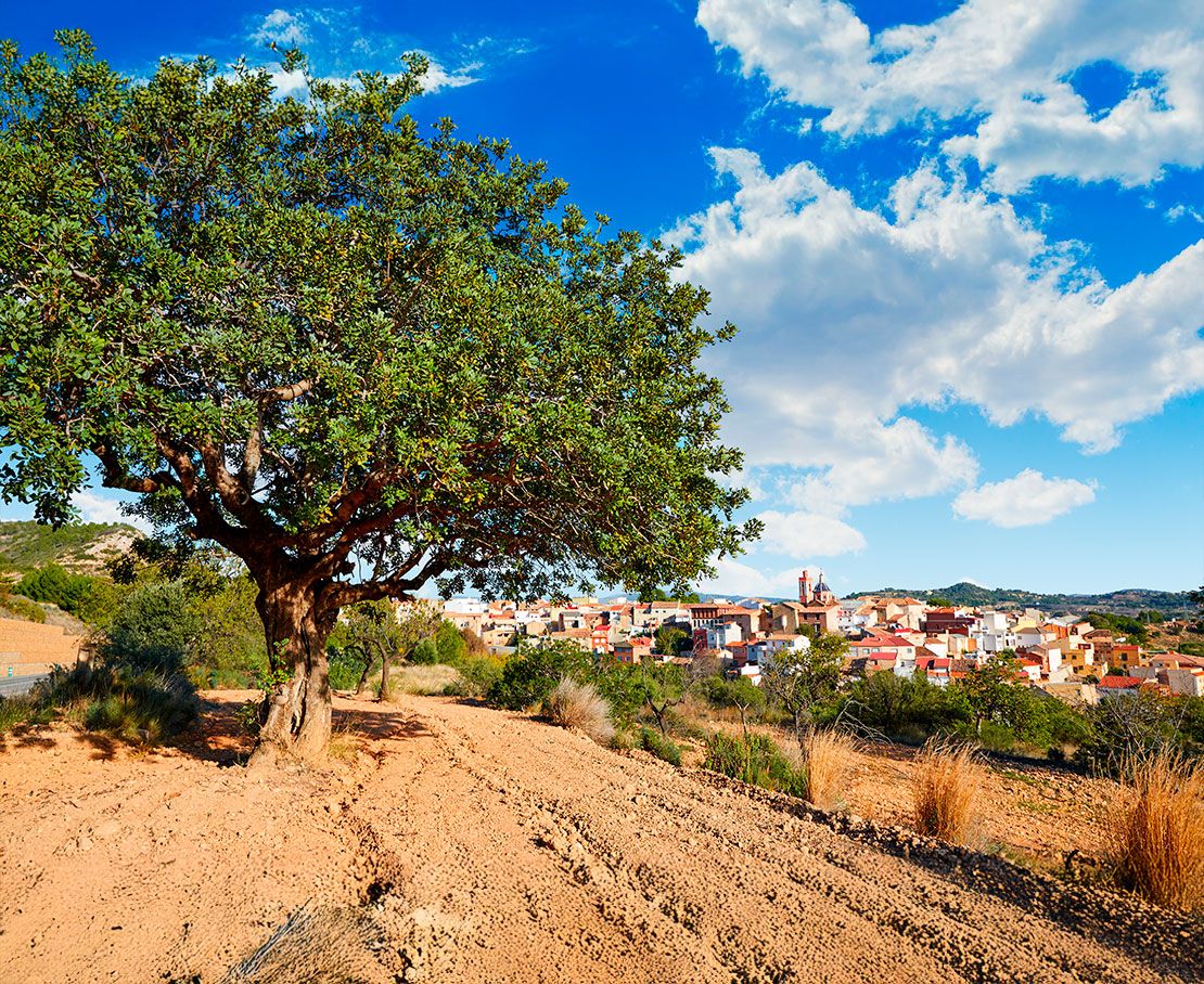 La puesta en marcha de la infraestructura necesaria para desarrollar plenamente el sector del biometano por todo el país, tendrá un impacto directo en muchas zonas rurales.